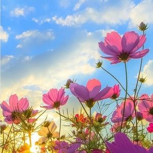 Meet your Posher, Sabrina